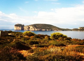 Smettete di stuprare Porto Conte