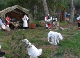 Allestito il Presepe a Maristella