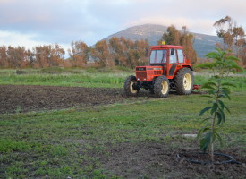 PSR 2014-2020, via libera da Bruxelles. Falchi: ora miglioriamo l’agricoltura sarda