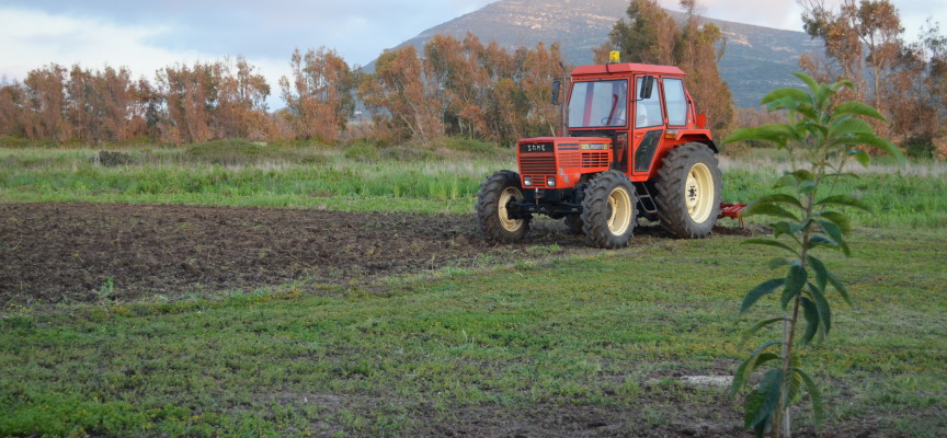 Agricoltura in Nurra, a rischio la stagione irrigua