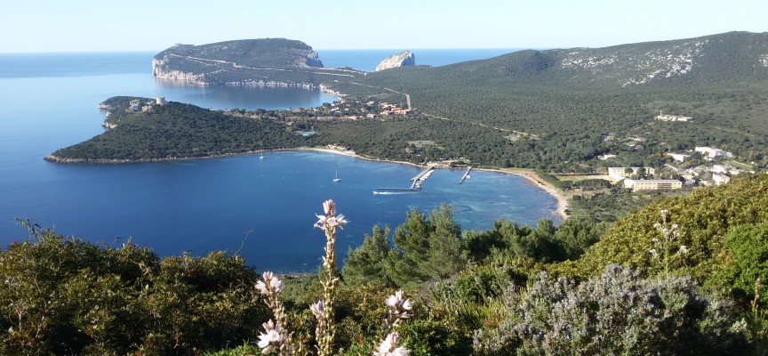 Boom di iscrizioni alla “Porto Conte in corsa!”