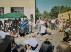 Festa della Tosatura a Santa Maria la Palma