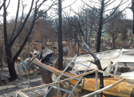 Bando per la messa in sicurezza di Mugoni, bonifica dopo la  devastazione di Porto Conte