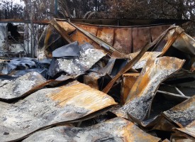 A Porto Conte disastro ambientale che non deve finire nel dimenticatoio (foto e video)