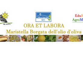 Maristella Borgata dell’olio di oliva: grande festa domenica