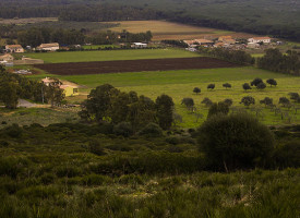 Itinerari di sviluppo agricolo dal punto di vista delle associazioni di categoria