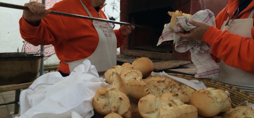 Saperi e Sapori: laboratorio sul pane con lievito naturale “sa madrighe”