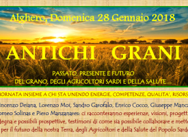 Antichi Grani: passato, presente e futuro del grano, degli Agricoltori sardi e della salute…